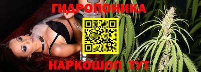 спиды Гусев