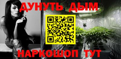 гидра Гатчина